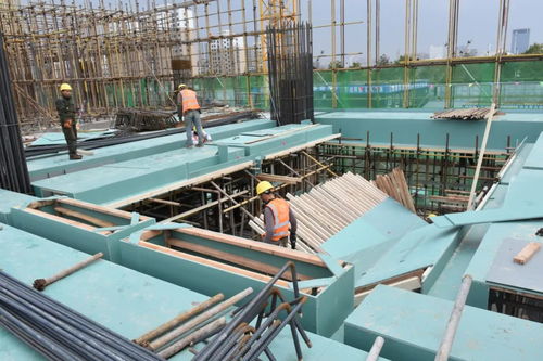 2021第五屆中國任丘模板腳手架展銷對接峰會圓滿落幕，建筑材料產(chǎn)業(yè)展現(xiàn)新活力